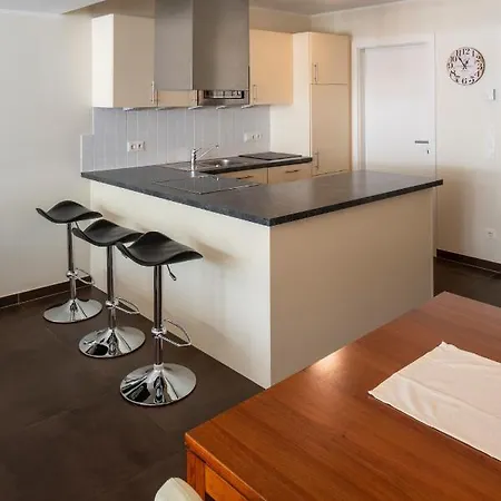 Bergwies 公寓 斯拉德明